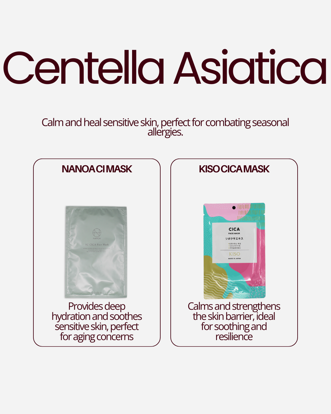 Seasonal Skin Renewal Bundle